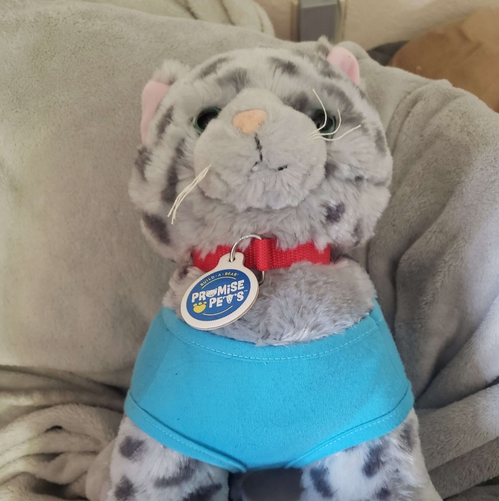 Build A Bear Promise Pets Plush Cat with Blue Shirt
